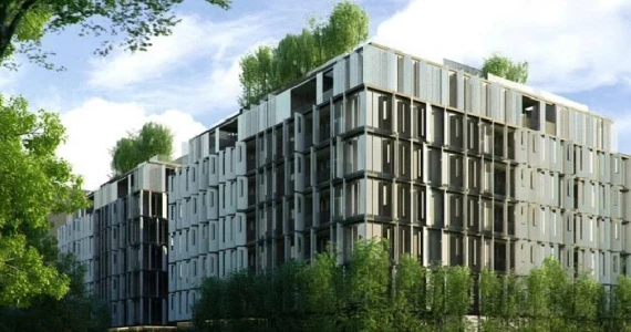 รูปภาพ ไซมิส จอยญ่า (Siamese Gioia)