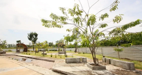 รูปภาพ เดอะ คานารี่ วิลล์ บ้านเป็ด (The Canary Ville Banped)