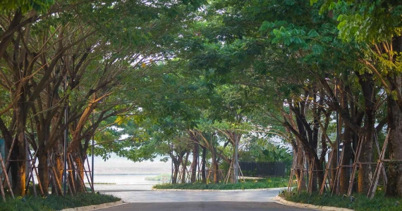 รูปภาพ นันทวัน ซีรีนเลค เชียงใหม่ (Nantawan Serene Lake Chiangmai)