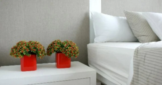 รูปภาพ เดอะ แพลนท์ ซิตี้ ลาดพร้าว 71 (The Plant Citi)