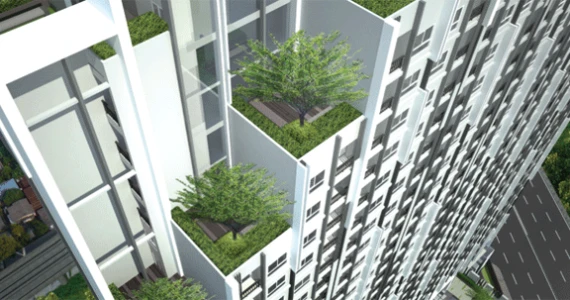 รูปภาพ ไวโอ้ ติวานนท์ (Vio Tiwanon)