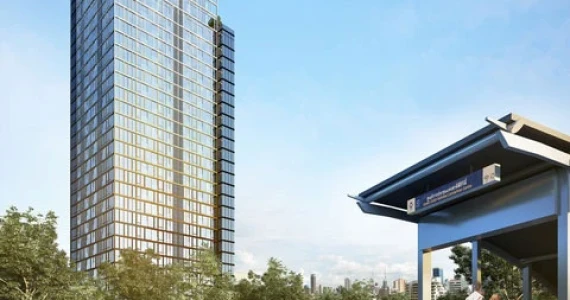 รูปภาพ ไซมิส เอ๊กซ์คลูซีพ ควีนส์ (Siamese Exclusive Queens)