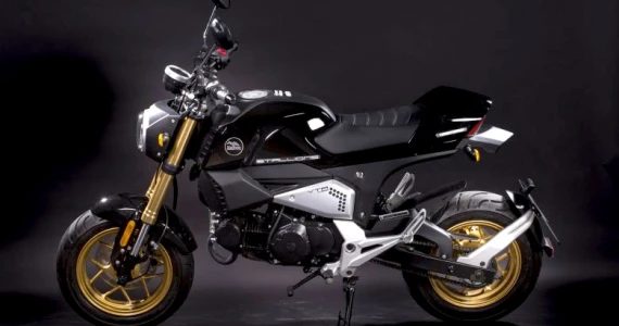 รูปภาพ สตาเลียน Stallions VTR 125 ปี 2016