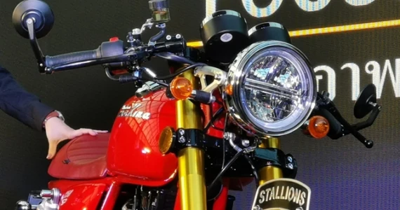 รูปภาพ สตาเลียน Stallions Makina 250 SP ปี 2019