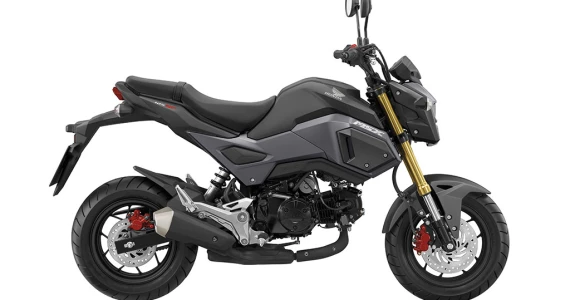 รูปภาพ ฮอนด้า Honda MSX125 SF ปี 2016
