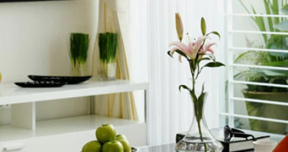 รูปภาพ เดอะ ไลท์ สวนหลวง