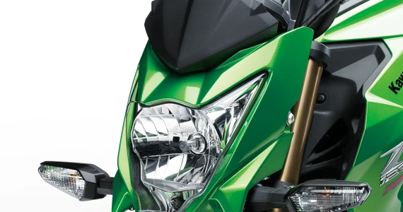 รูปภาพ คาวาซากิ Kawasaki Z 125 ปี 2015