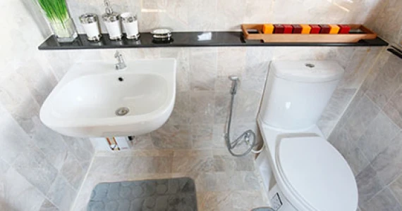 รูปภาพ พิลโล่ 36 (Pillow 36)