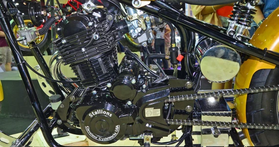 รูปภาพ สตาเลียน Stallions Iron One (Standard) ปี 2015