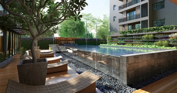 รูปภาพ ซิงค์ เนเจอร์ สยาม (Sync Nature Siam)