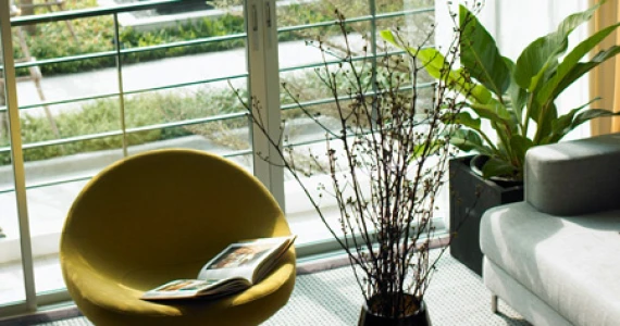 รูปภาพ ทาวน์พลัส เกษตร - นวมินทร์ (Town plus Kaset - Nawamindra)