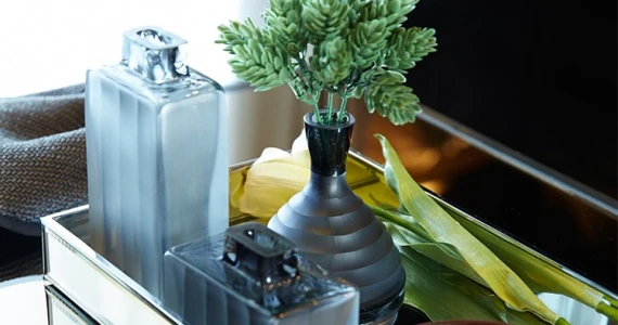 รูปภาพ บ้านกลางเมือง รัชดา - วงศ์สว่าง (Baan Klang Muang Ratchada - Wongsawang)