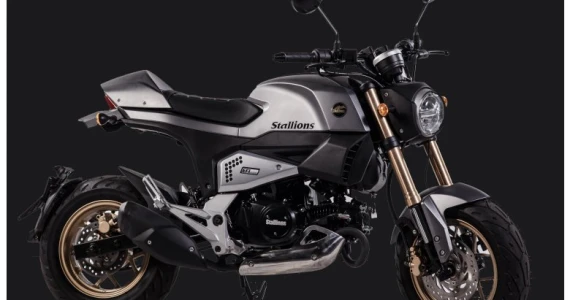 รูปภาพ สตาเลียน Stallions VTR 125 ปี 2016