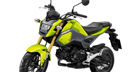 รูปภาพ ฮอนด้า Honda MSX125 SF ปี 2016