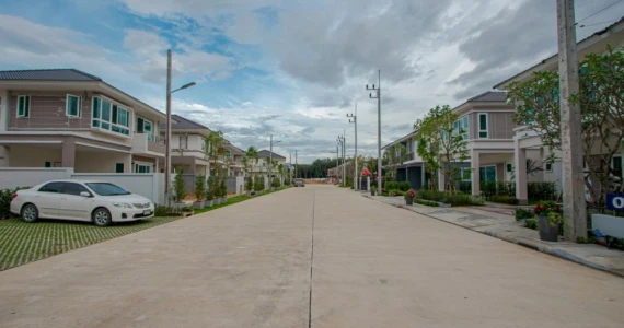 รูปภาพ ปาล์มสปริงส์ บลิส (Palmspring Blis)