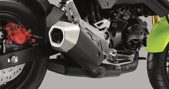รูปภาพ ฮอนด้า Honda MSX125 SF ปี 2016