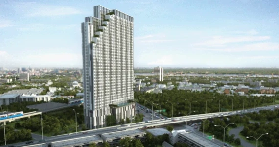 รูปภาพ ไวโอ้ ติวานนท์ (Vio Tiwanon)