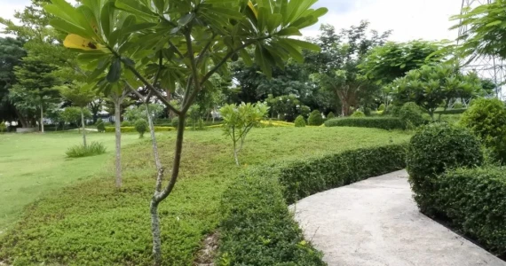 รูปภาพ ดีญ่า วาเล่ย์ สารภี (Diya Valley Sarapee)