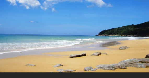 รูปภาพ มาลัยวนา (Malaiwana)