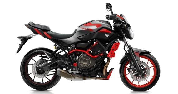 รูปภาพ ยามาฮ่า Yamaha MT-07 Moto Cage ปี 2016