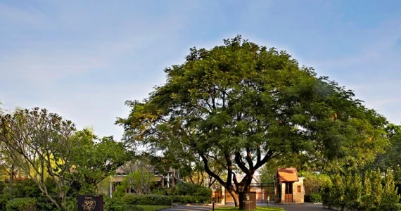 รูปภาพ 99 เรสซิเดนซ์ พระราม 9 (99 Residence Rama 9)