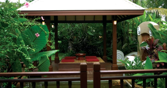 รูปภาพ สีวลี-คลองชลฯ เชียงใหม่ (Sivalee Klongchon Chiangmai)