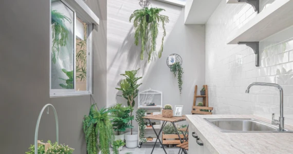 รูปภาพ ไอโคเปน สุขุมวิท 76 (Icopenh Sukhumvit 76)