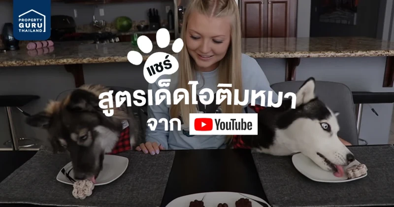 แชร์สูตรเด็ดไอติมหมาจาก Youtube...สดชื่นตาใส เย็นถึงตับไตไส้พุง