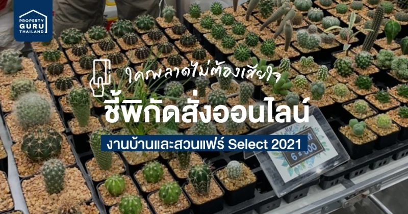 ใครพลาดงานบ้านและสวนแฟร์ Select 2021 มาทางนี้! ชี้พิกัดร้านเด็ดที่ออกบูธภายในงาน