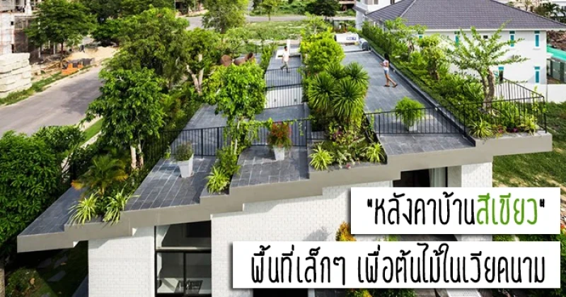"หลังคาบ้านสีเขียว" พื้นที่เล็กๆ เพื่อต้นไม้ในเวียดนาม