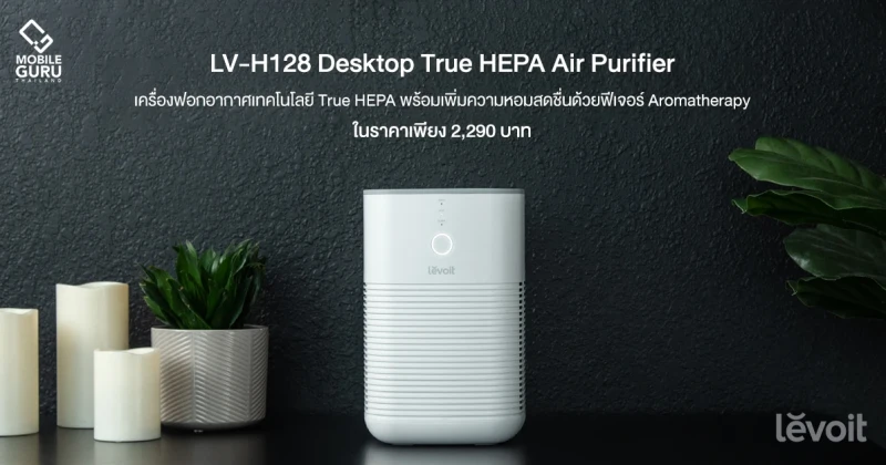 Levoit LV-H128 Desktop True HEPA Air Purifier