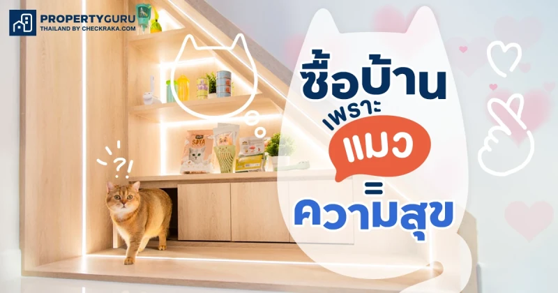 เทรนด์ใหม่มาแรง “ซื้อบ้านให้แมวอยู่”