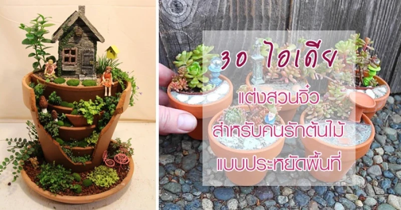 30 ไอเดียแต่งสวนจิ๋ว สำหรับคนรักต้นไม้ แบบประหยัดพื้นที่