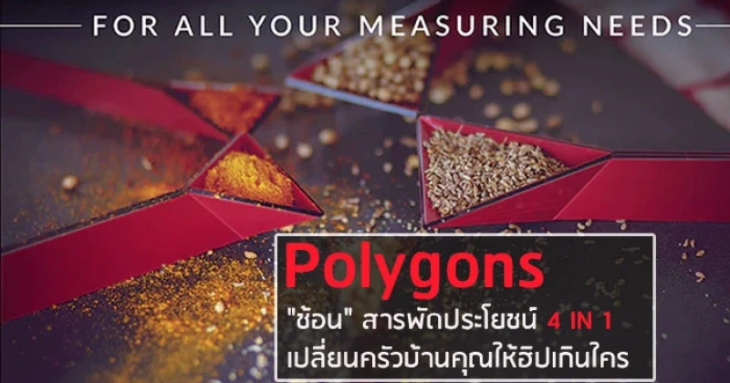 Polygons "ช้อน" สารพัดประโยชน์ 4 IN 1 เปลี่ยนครัวบ้านคุณให้ฮิปเกินใคร