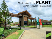 รีวิว-เยี่ยมชม เดอะ แพลนท์ ปิ่นเกล้า - กาญจนาฯ (The Plant Pinklao - Kanjanaphisek)