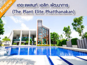 รีวิว-เยี่ยมชม เดอะ แพลนท์ เอลิท พัฒนาการ (The Plant Elite Phatthanakan)