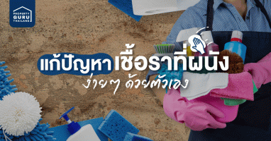 ปัญหาบ้านหน้าฝน : แก้ปัญหาเชื้อราที่ผนังง่ายๆ ด้วยตัวเอง