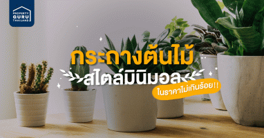 กระถางต้นไม้ สไตล์มินิมอล ในราคาไม่เกินร้อย!! ถูกสุดใจ ซื้อออนไลน์ได้เลยจ้า