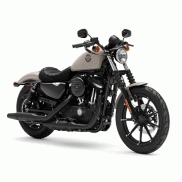 ฮาร์ลีย์-เดวิดสัน Harley-Davidson Sportster Iron 883 ปี 2022