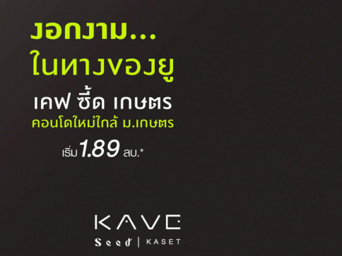 เคฟ ซีด เกษตร (Kave Seed Kaset)