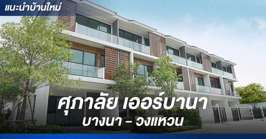 Live Your Life And Having Fun | เช็คราคา.คอม