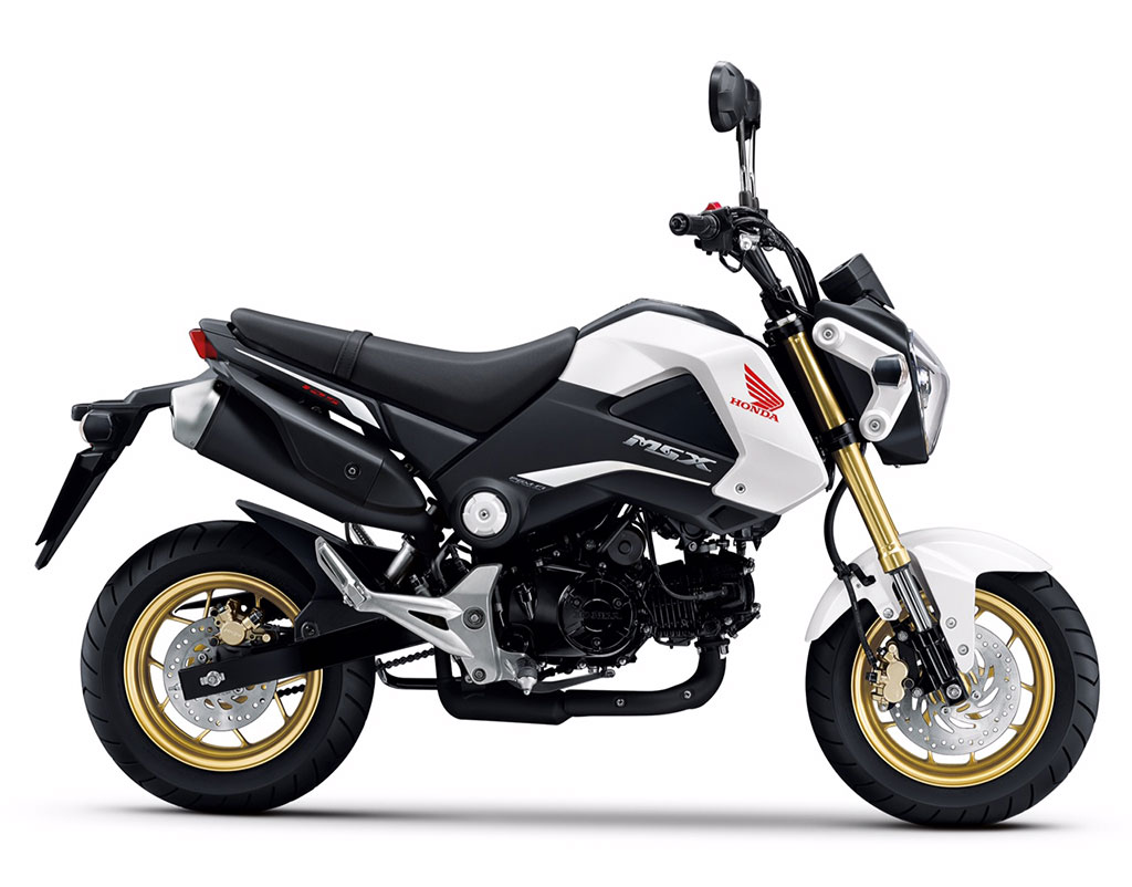 Honda MSX125 MSX125F TH ฮอนด้า เอ็มเอสเอ็กซ์125 ปี 2015 : ภาพที่ 3