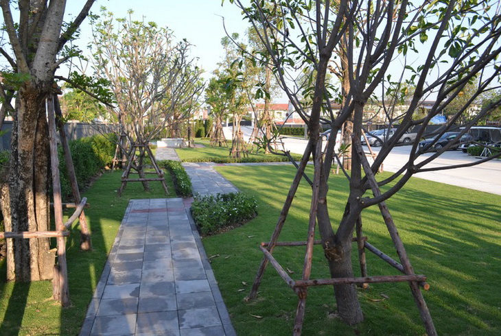 บ้านพฤกษา ไพร์ม รังสิต - คลอง 3 (Bann Pruksa Prime Rangsit - Klong 3) : ภาพที่ 2