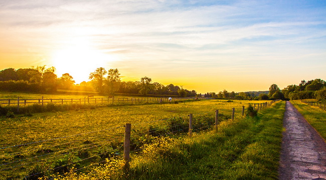 เดอะ คอทส์โวลด์ เขาค้อ (The Cotswold Khao Kho) : ภาพที่ 3