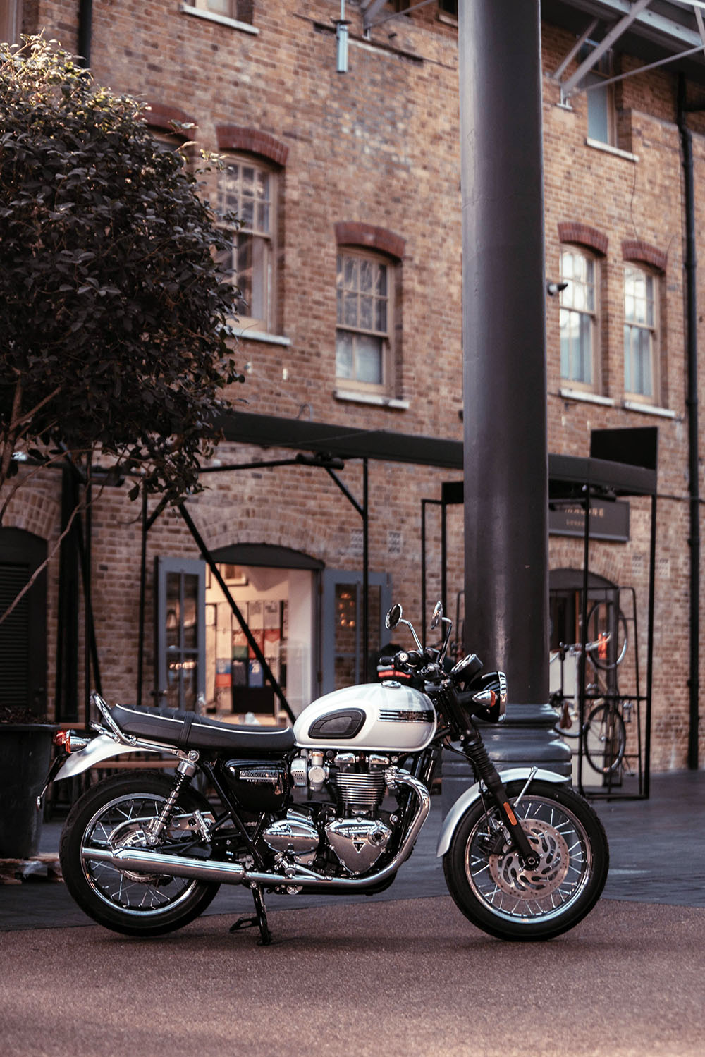 Triumph Bonneville T120 Diamond Edition std. ไทรอัมพ์ บอนเนวิลล์ ปี 2019 : ภาพที่ 4