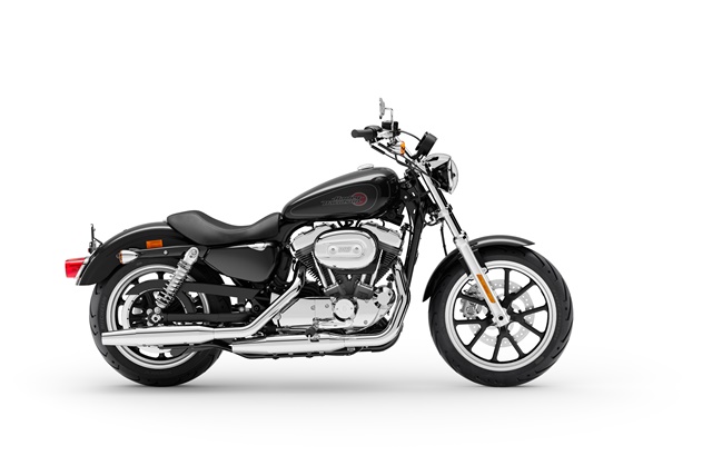 Harley-Davidson Cruiser SUPERLOW MY20 ฮาร์ลีย์-เดวิดสัน สปอร์ตสเตอร์ ปี 2020 : ภาพที่ 4