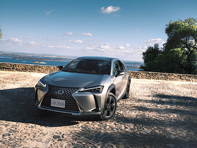 รูปภาพ เลกซัส Lexus UX 250h Luxury ปี 2019