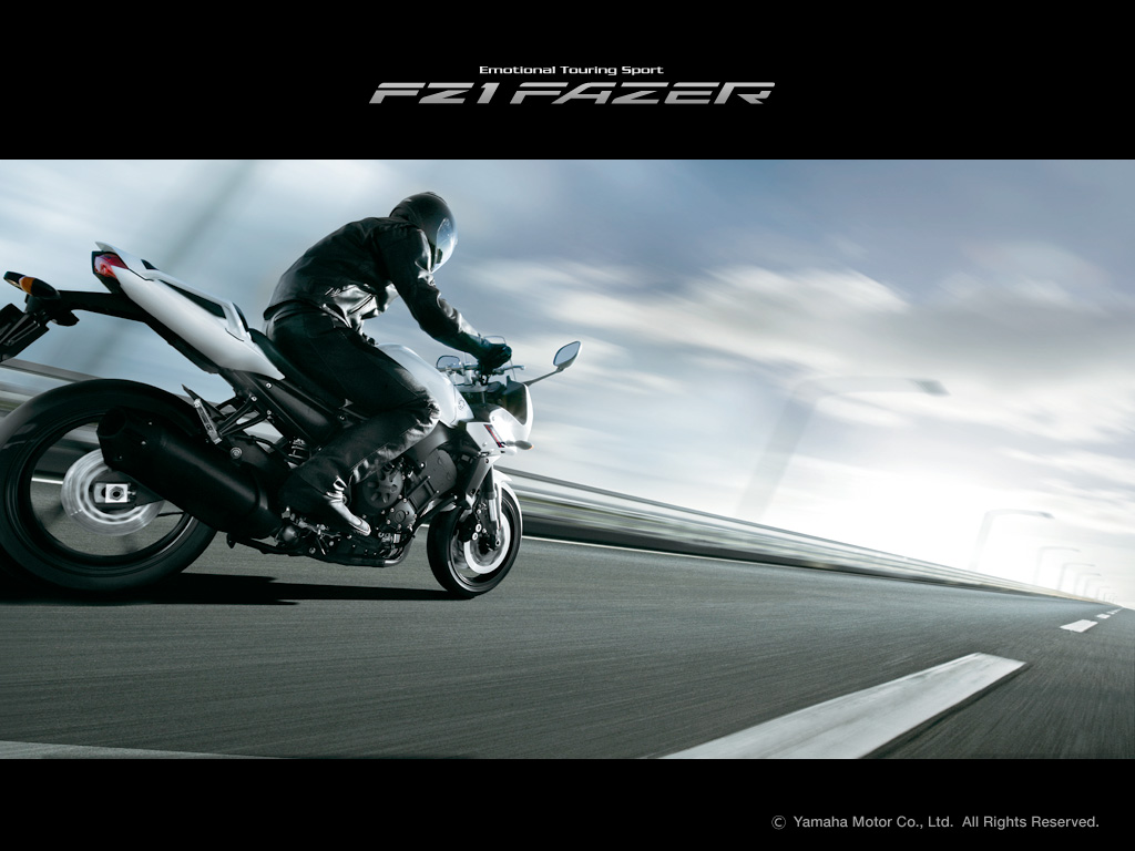 รูปภาพ ยามาฮ่า Yamaha FZ1 Fazer (Standard) ปี 2015