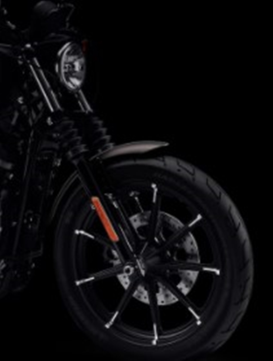 Harley-Davidson Cruiser Iron 883 ฮาร์ลีย์-เดวิดสัน สปอร์ตสเตอร์ ปี 2022 : ภาพที่ 6