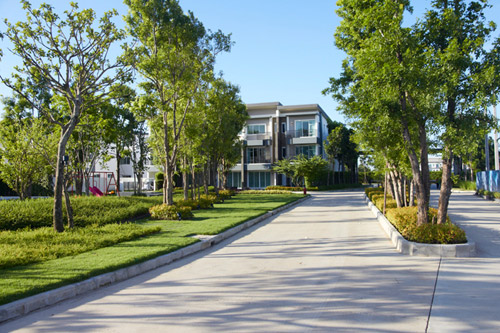 รูปภาพ ทาวน์ อเวนิว พระราม 9 (Town Avenue Rama 9)
